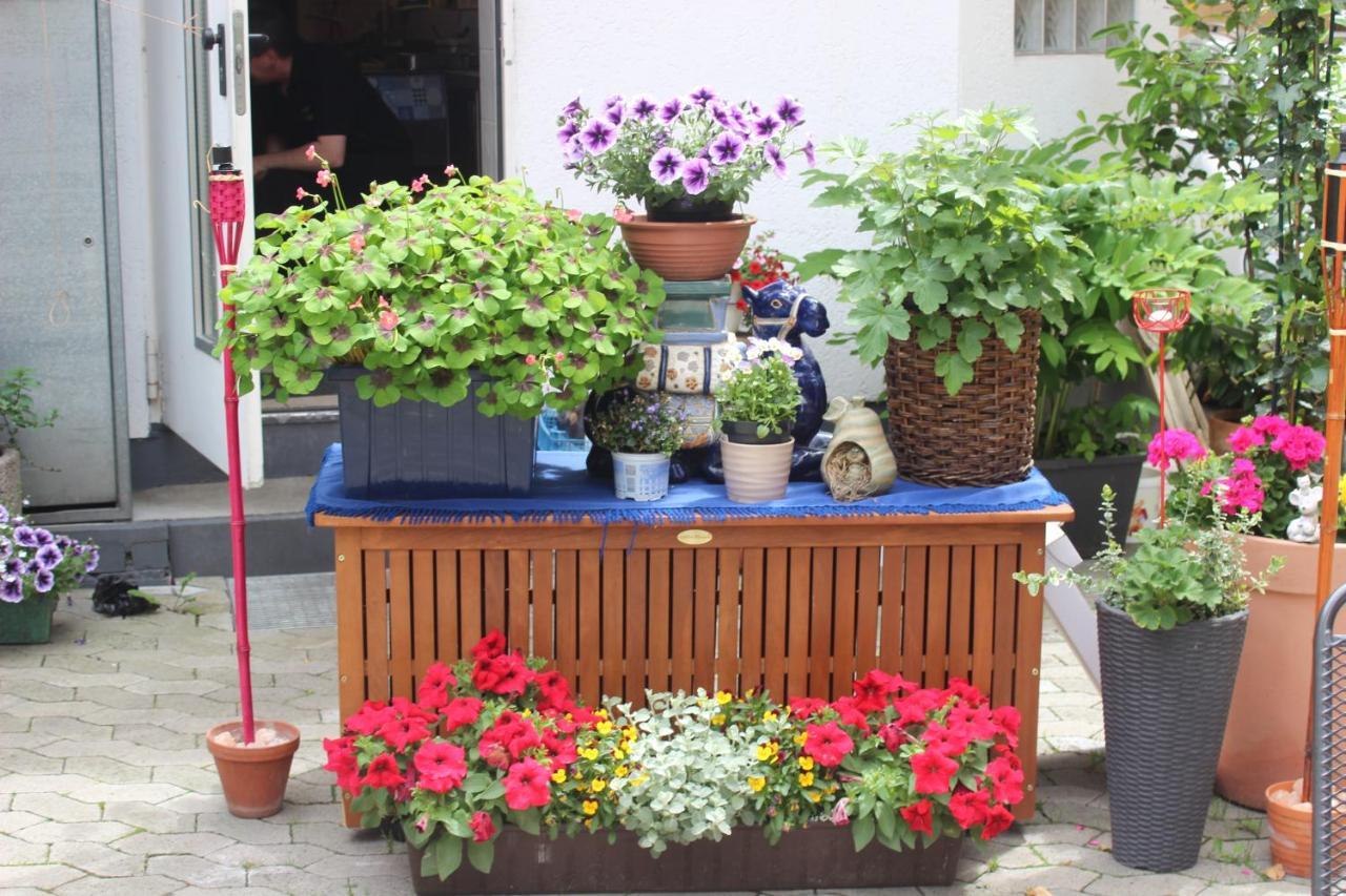 Restaurant / Pension Mainzer Tor Alsfeld Kültér fotó